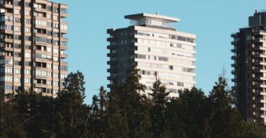 pexels photo 17674323