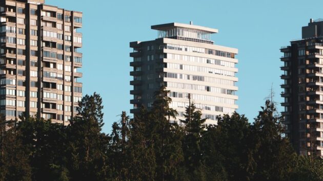 pexels photo 17674323
