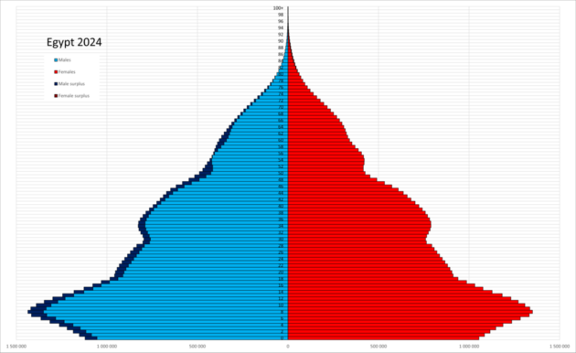 960px EgyptPopulationPyramid2024