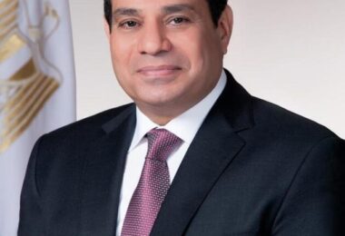 AbdelFattah Elsisi 28cropped29
