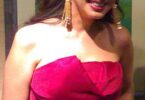Anghamsinger