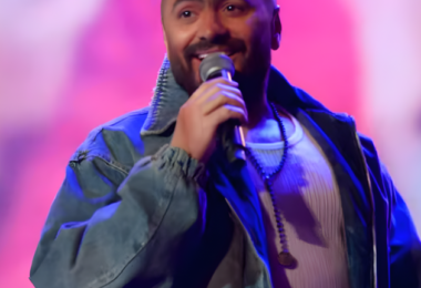 Tamer Hosny27s NYE Concert 28202529 28cropped29 1